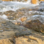rock&water
